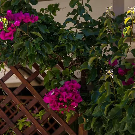 Sea Breeze & Nature Villa, With Heated Pool And Garden Retreat Dom wakacyjny