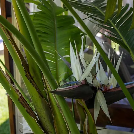 Sea Breeze & Nature Villa, With Heated Pool And Garden Retreat Dom wakacyjny